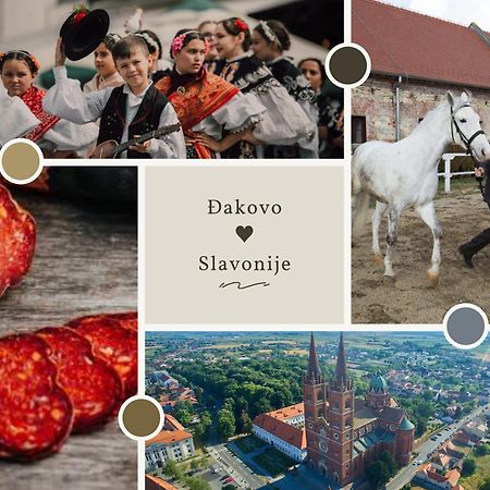 Sobe Dakovacki Vezovi Hotel Dakovo Ngoại thất bức ảnh